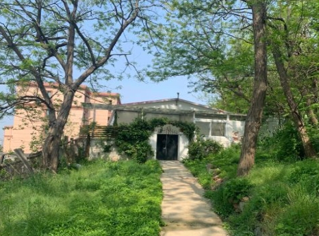 中山区100平独门独院 可居住办公可直播
